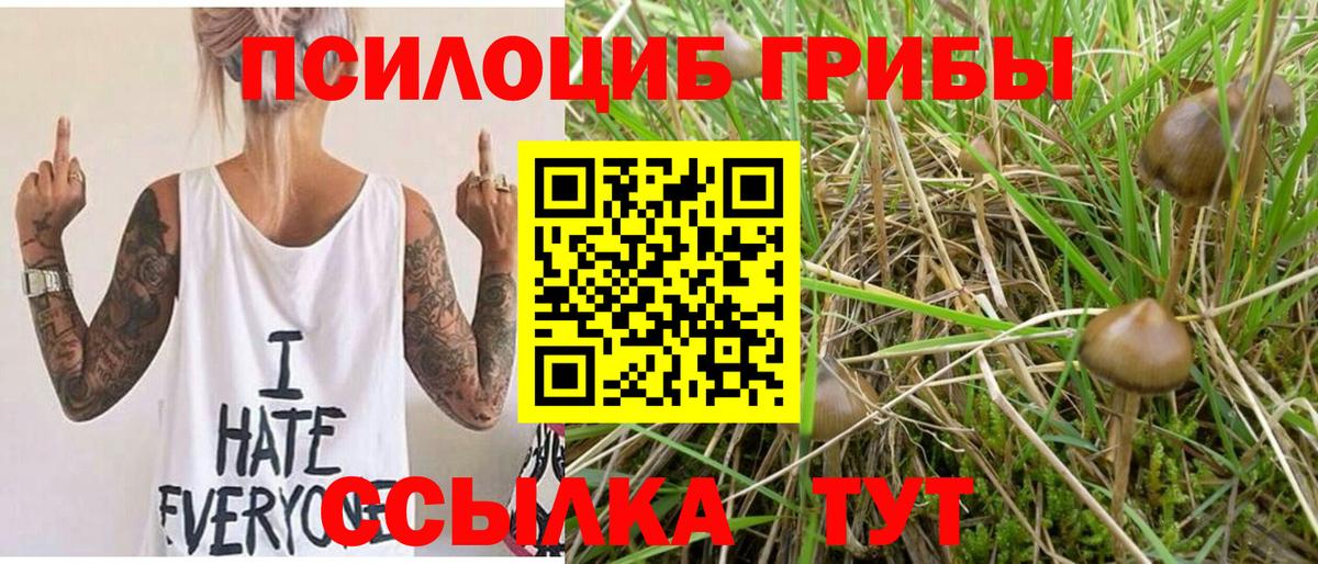 Галлюциногенные грибы Magic Shrooms  Вход с VPN  Тимашёвск 
