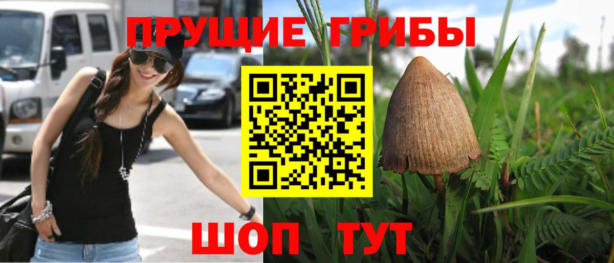 Галлюциногенные грибы Cubensis Тимашёвск